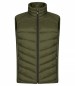 Preview: Idaho Vest