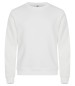 Preview: Miami Roundneck