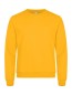 Preview: Miami Roundneck