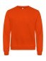 Preview: Miami Roundneck