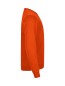 Preview: Miami Roundneck