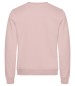 Preview: Miami Roundneck