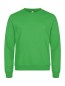 Preview: Miami Roundneck