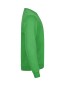 Preview: Miami Roundneck