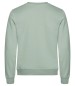 Preview: Miami Roundneck