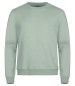Preview: Miami Roundneck