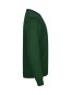 Preview: Miami Roundneck