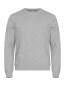 Preview: Miami Roundneck