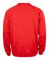 Preview: Basic Active Roundneck