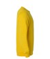 Preview: Basic Roundneck