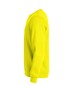 Preview: Basic Roundneck