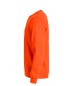 Preview: Basic Roundneck