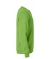 Preview: Basic Roundneck
