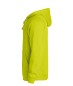 Preview: Basic Hoody
