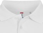 Preview: Basic Polo