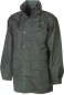 Preview: olive