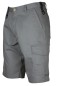 Preview: 2505 SHORTS