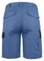 Preview: 2528 SHORTS