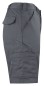 Preview: 2528 SHORTS