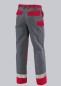 Preview: BP® Multinorm-Hose APC2