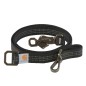 Preview: Dog Leash