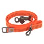 Preview: Dog Leash