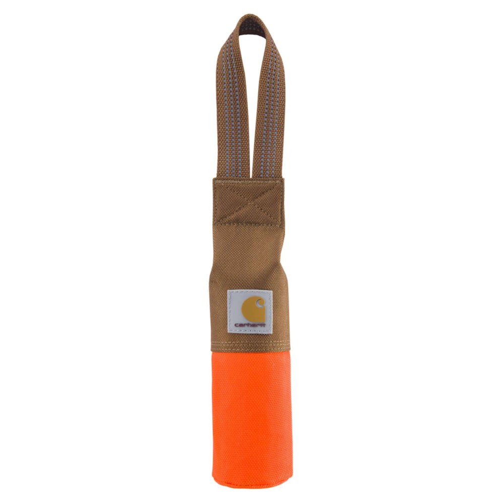 Training Dog Retrieving Bumper