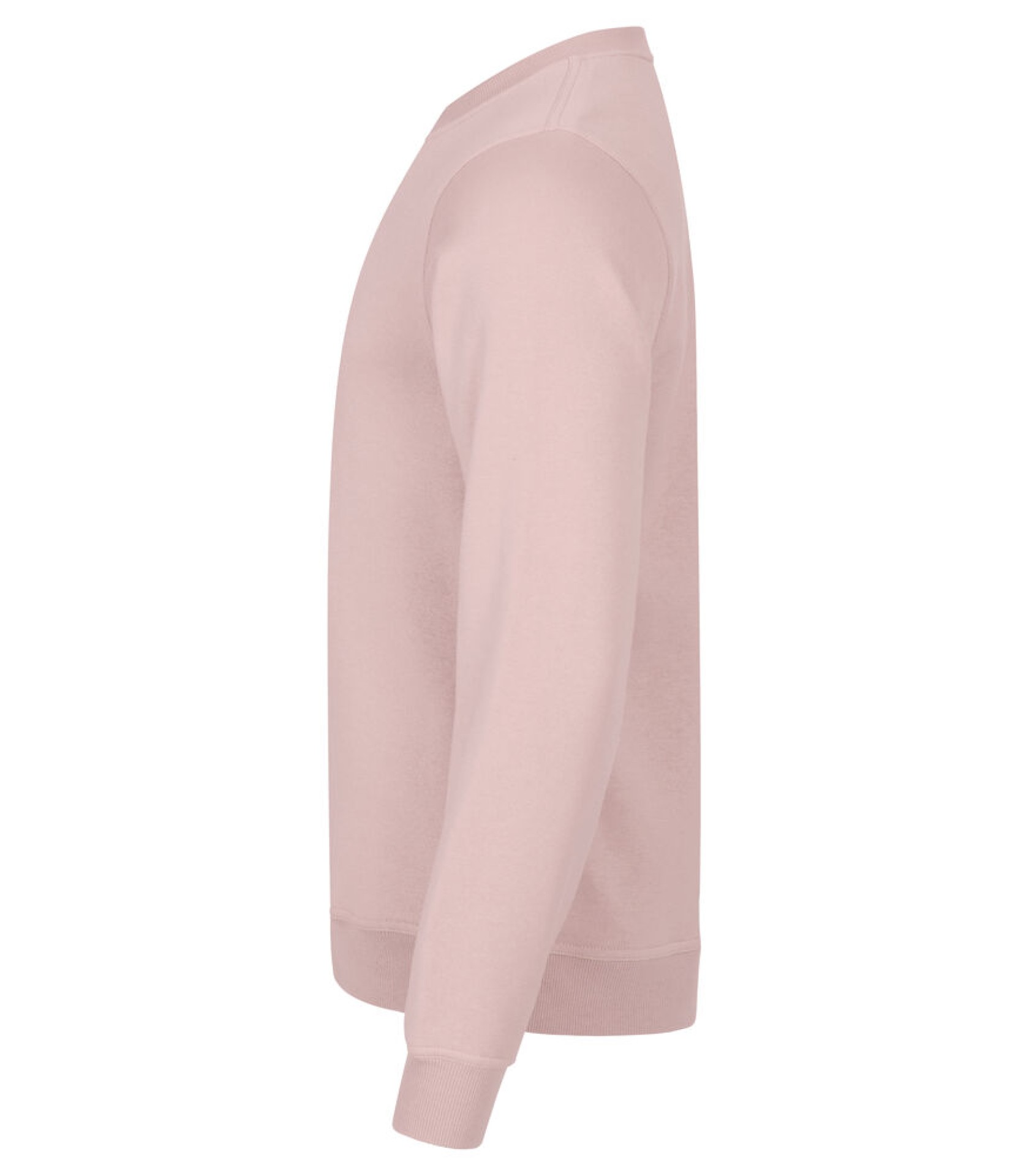 Miami Roundneck