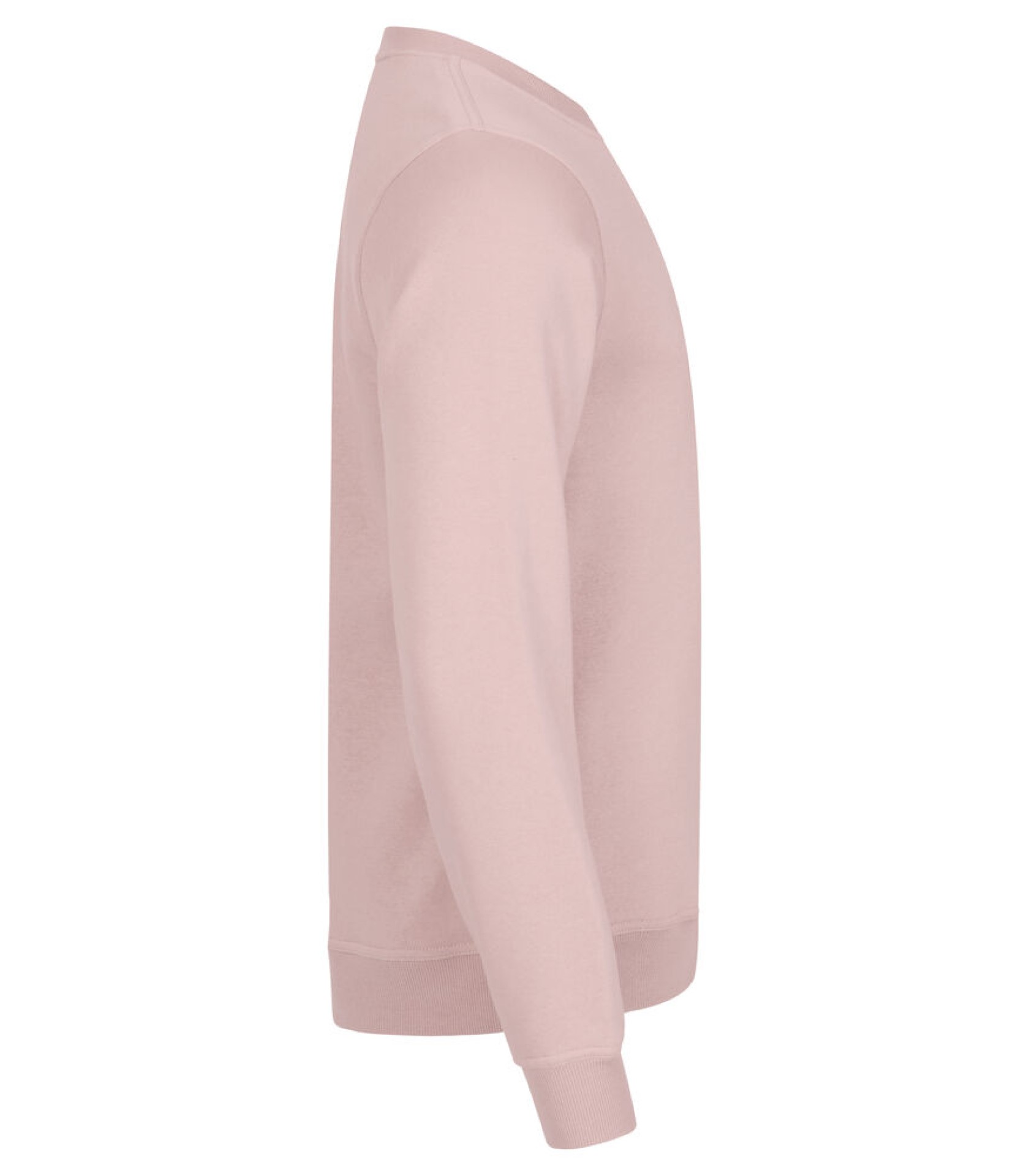 Miami Roundneck