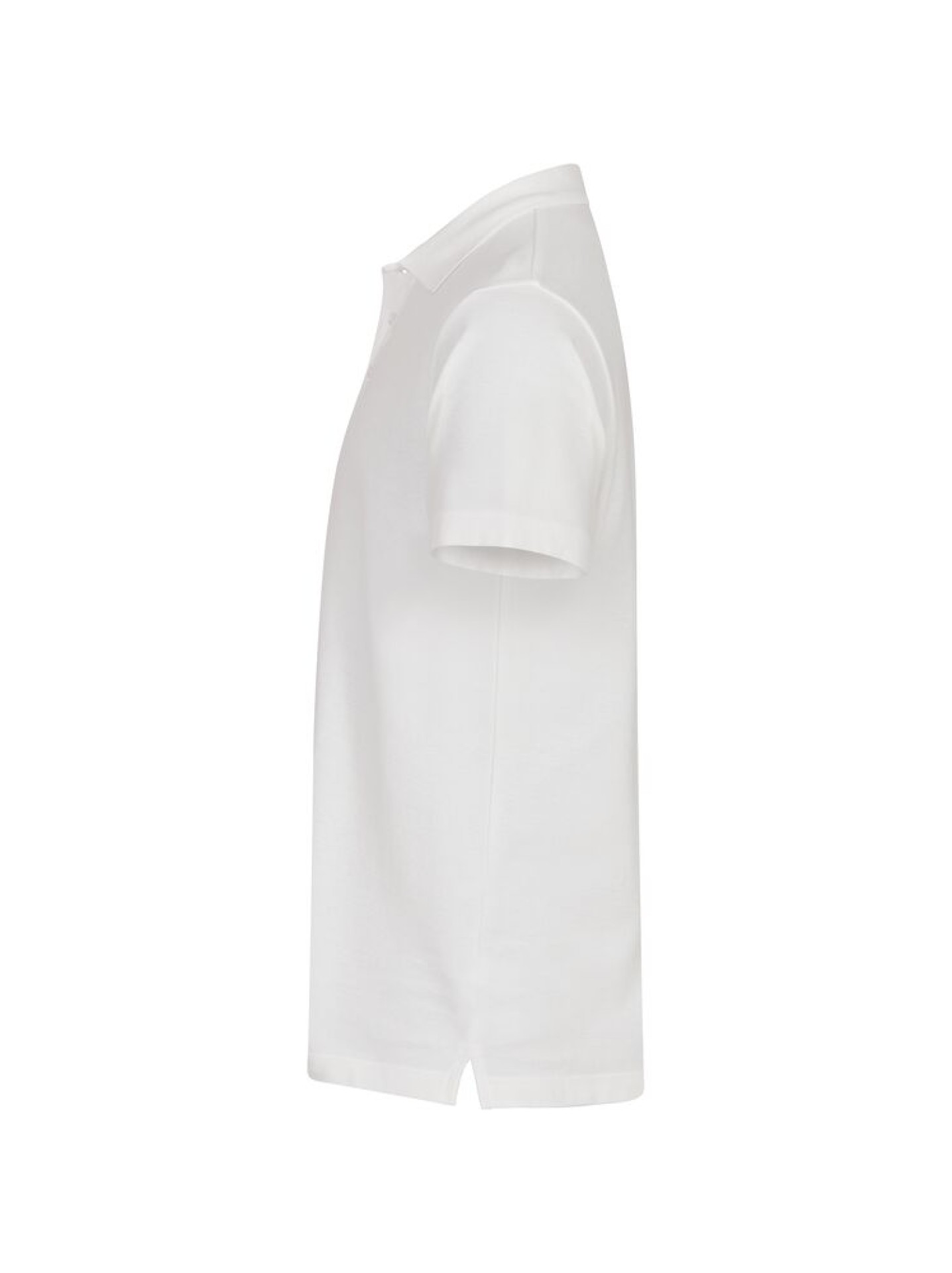 Basic Polo