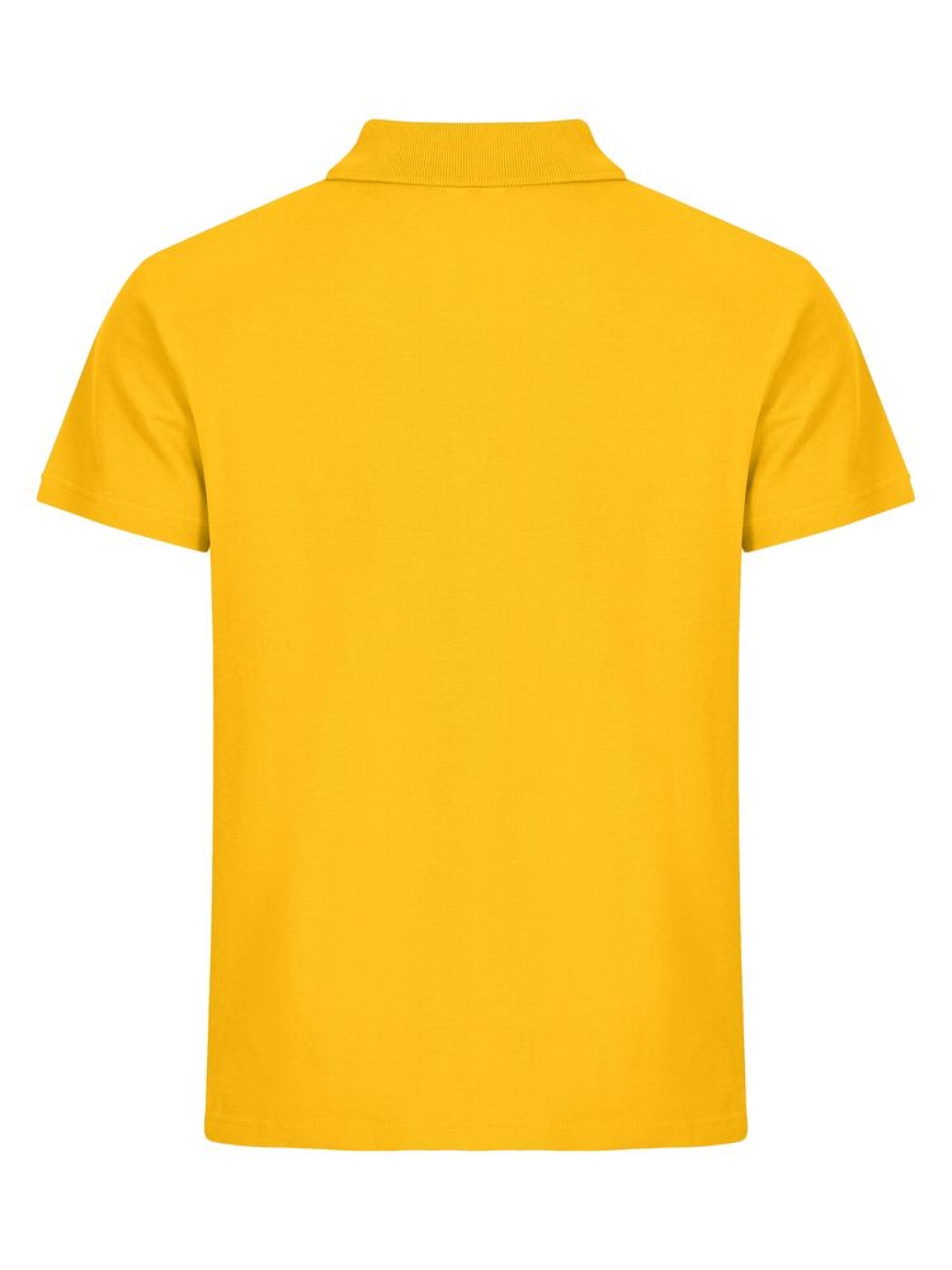 Basic Polo