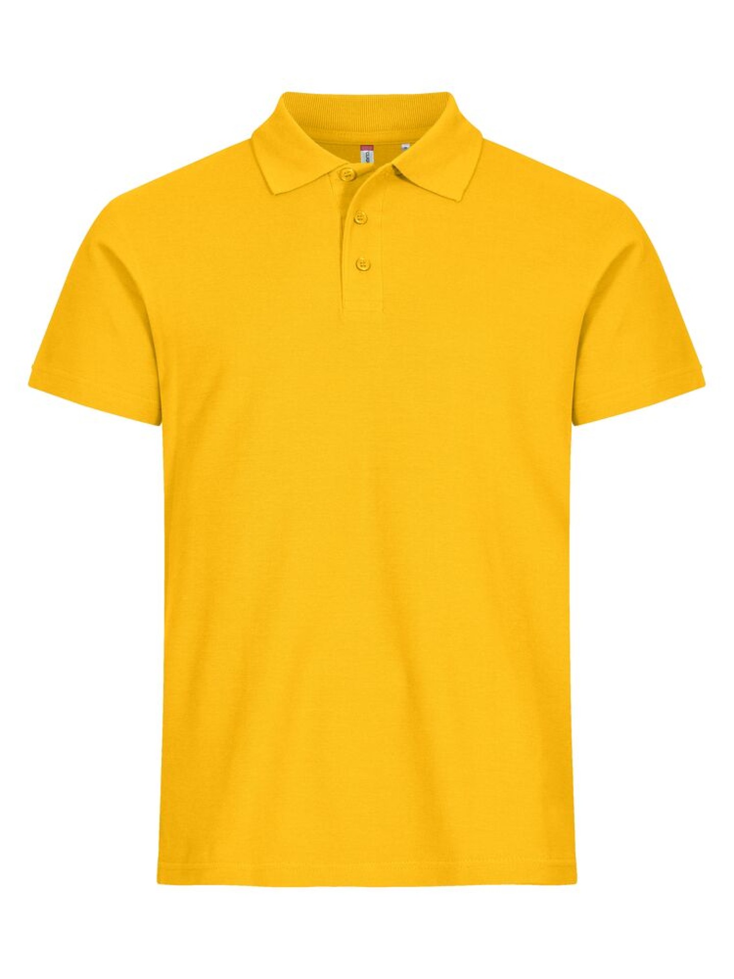 Basic Polo