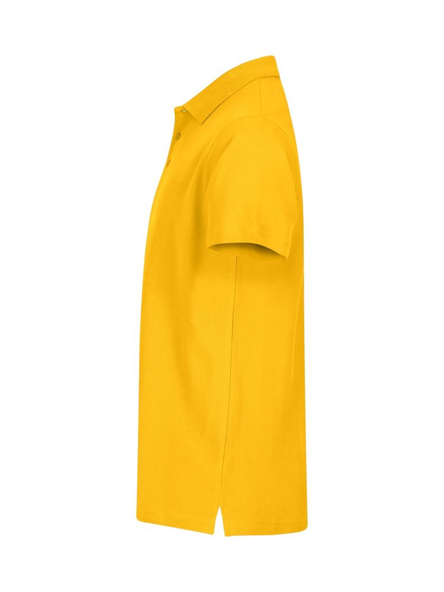 Basic Polo