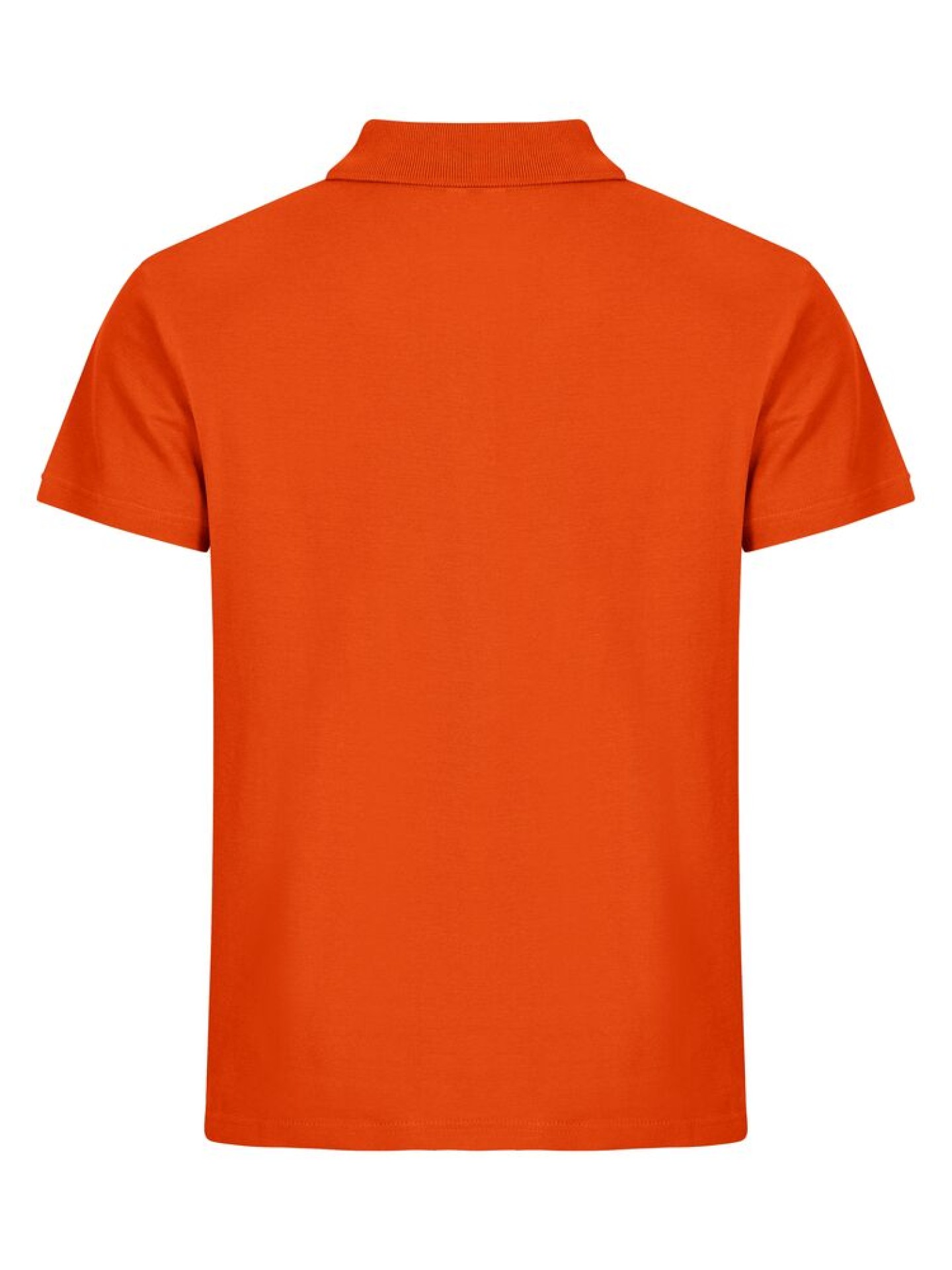 Basic Polo