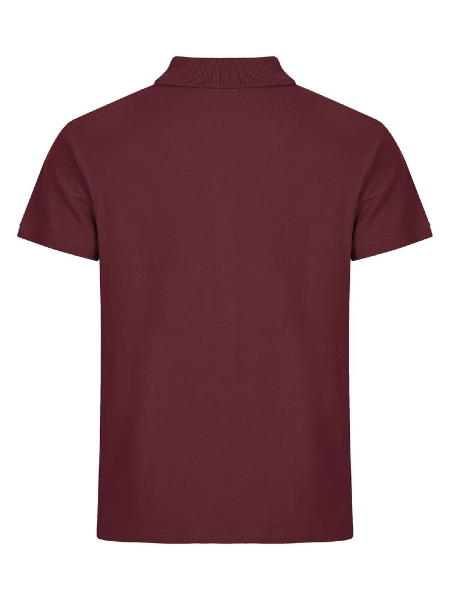 Basic Polo
