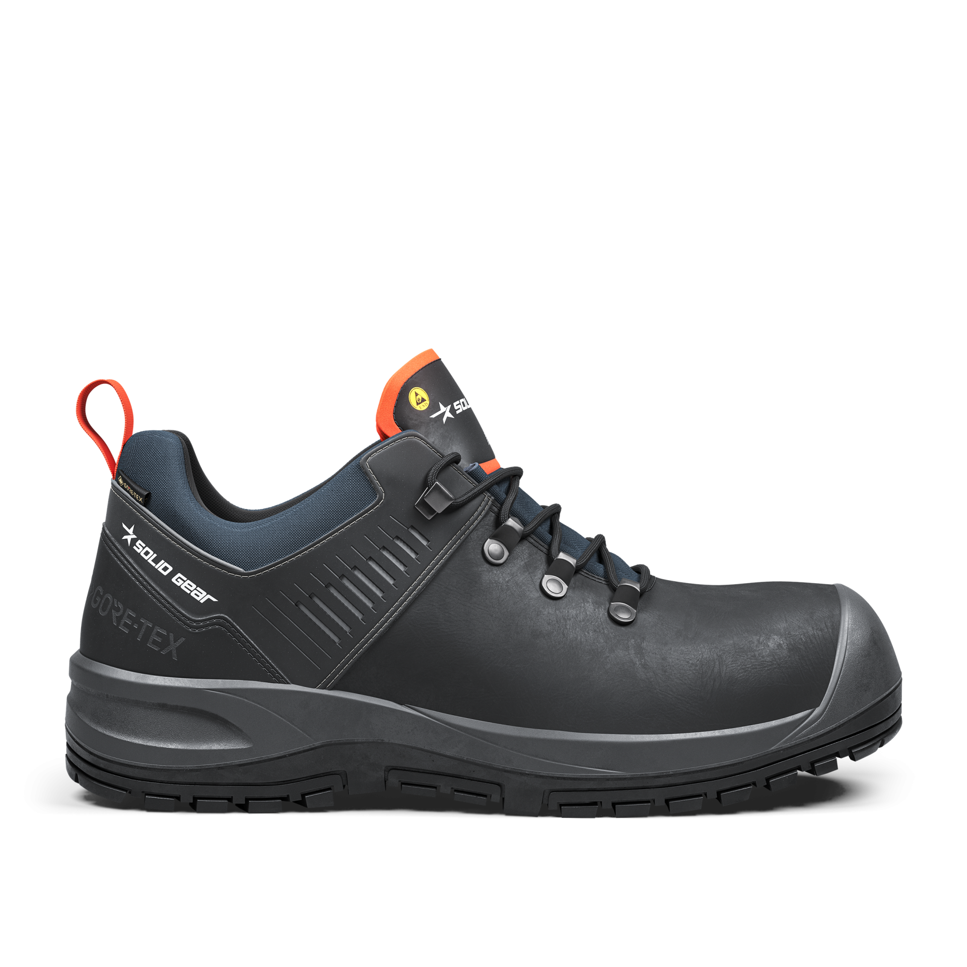Ion GTX Low